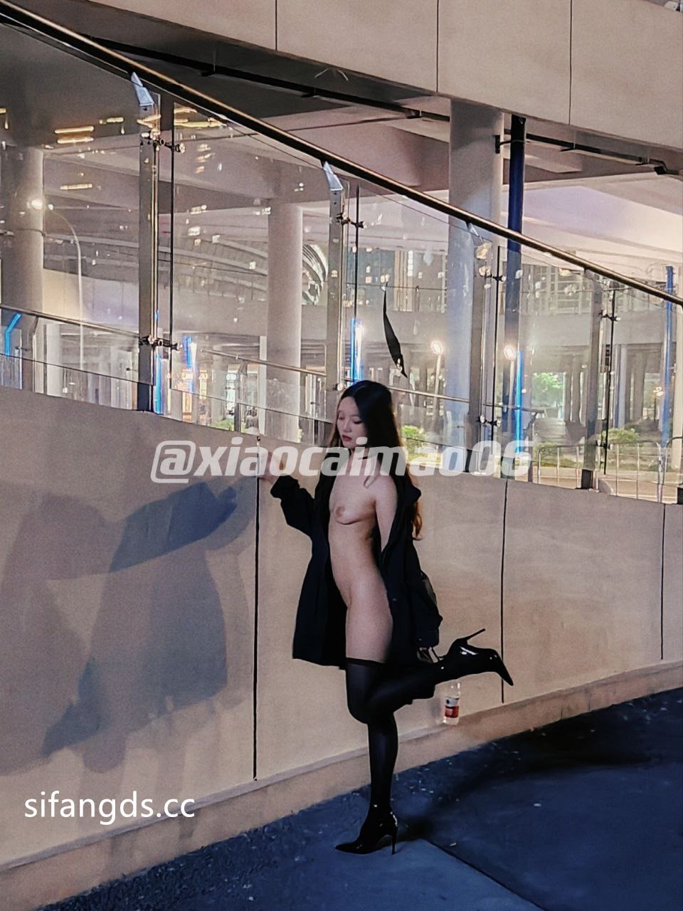 卡夫卡的小菜猫